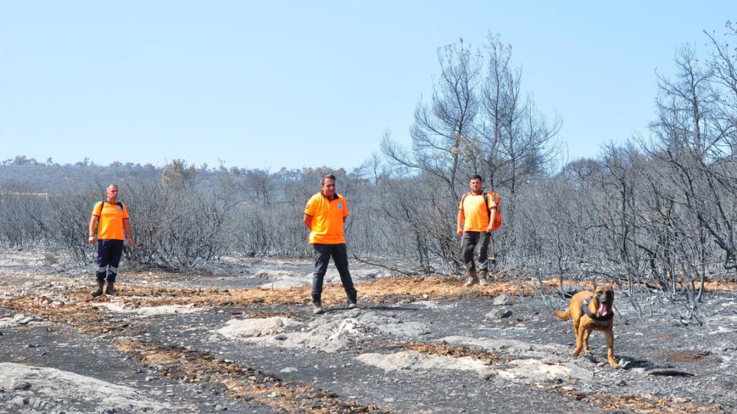 Kabus 23 saat sürmüştü: Sabotaj şüphesini 'Tarzan' çözecek 4